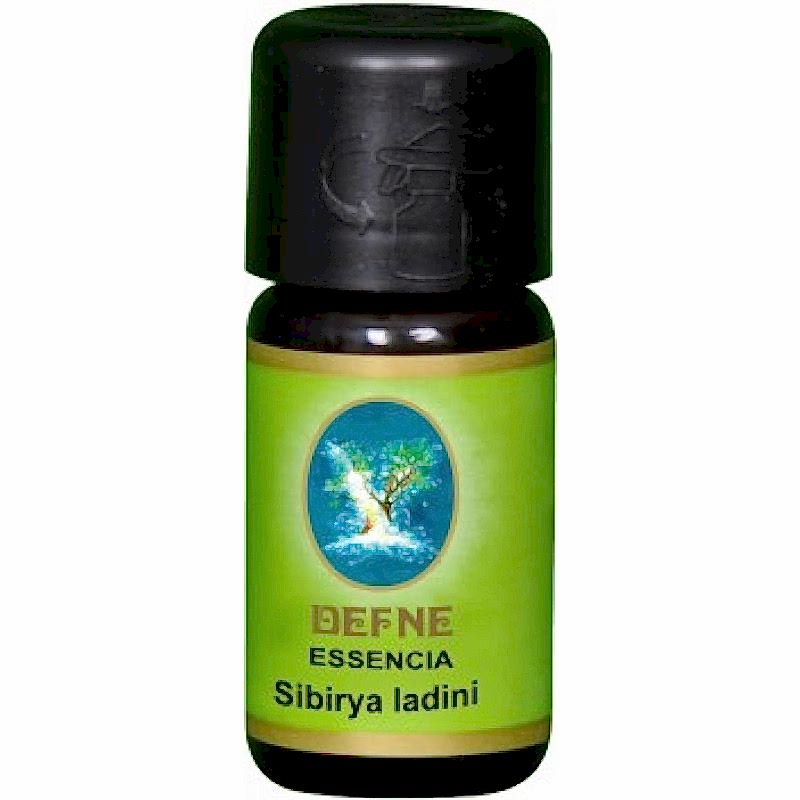 NUka Ladin (Sibirya Ladini) Yağı Rusya 5ml-10 ml